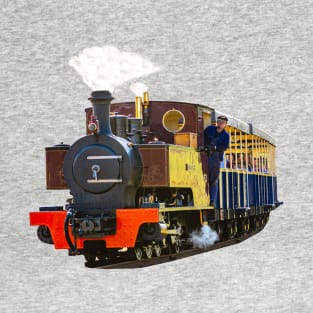 Steam Train and driver T-Shirt